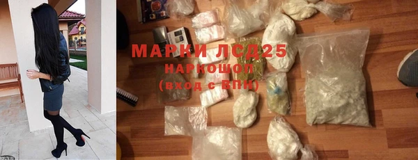 трава Наволоки