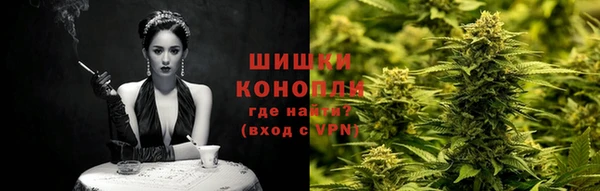мдпв Надым