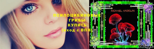 амф Нефтекумск