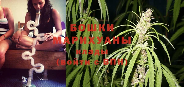 ПСИЛОЦИБИНОВЫЕ ГРИБЫ Нея