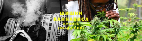 трава Наволоки