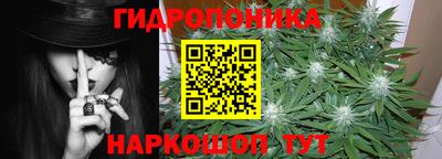 ешки Волгодонск