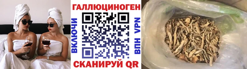 Псилоцибиновые грибы GOLDEN TEACHER  Донской 