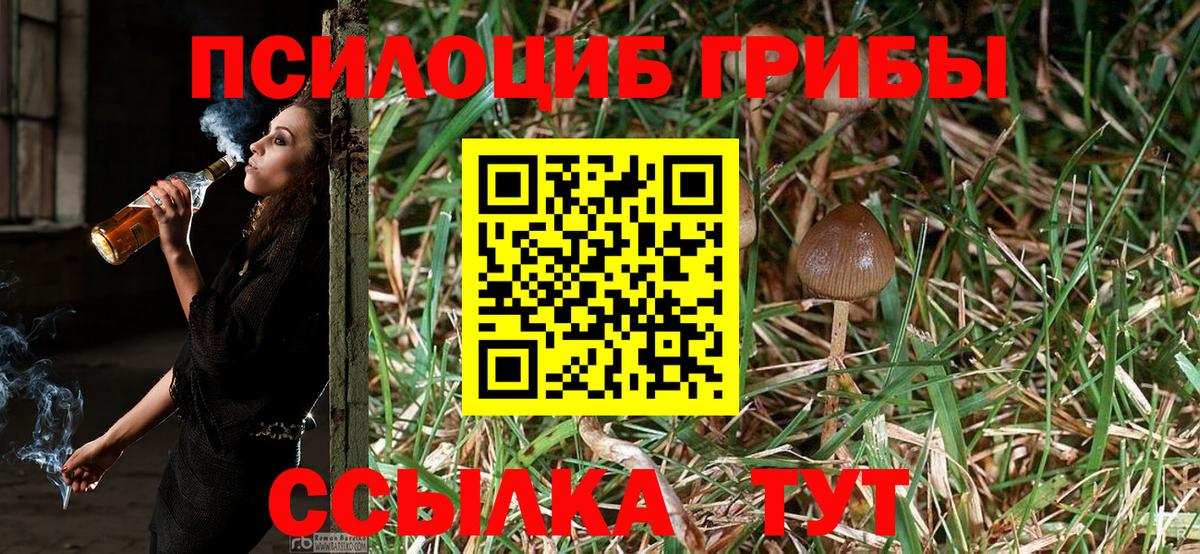 Псилоцибиновые грибы Cubensis Донской