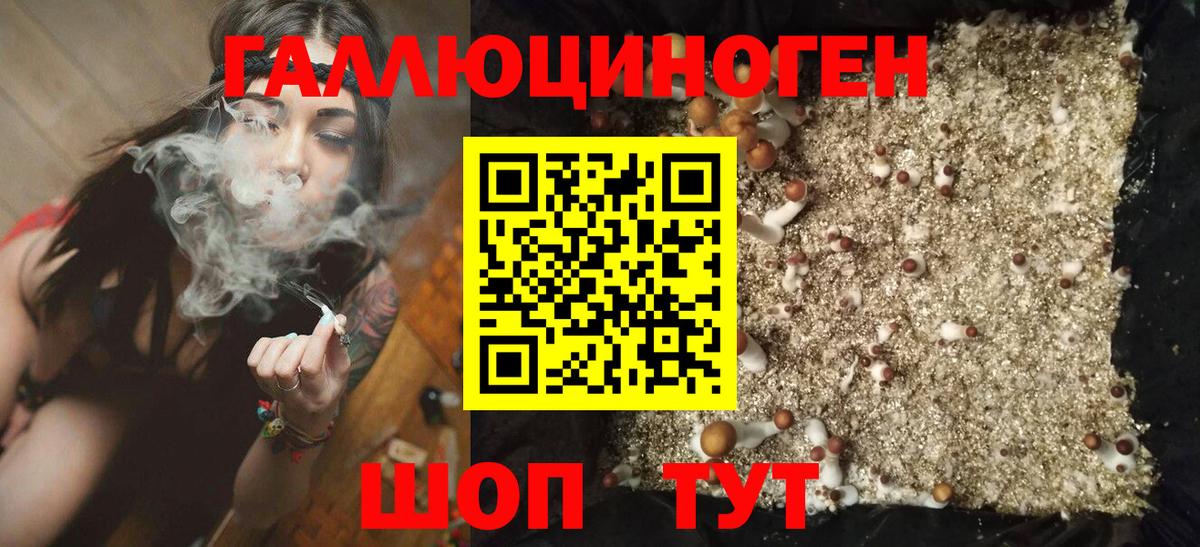 Псилоцибиновые грибы GOLDEN TEACHER Донской