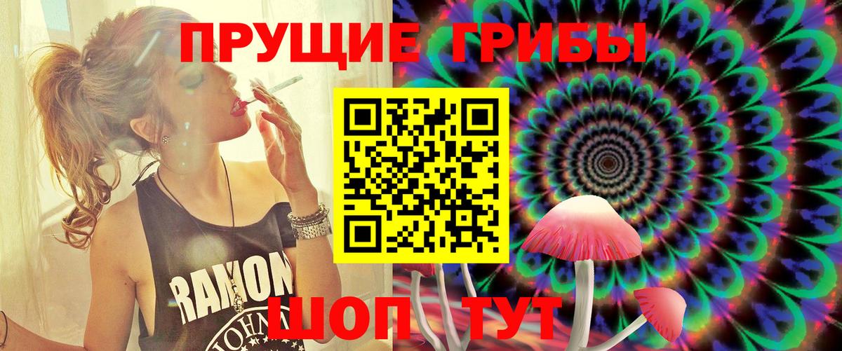 Донской  Псилоцибиновые грибы GOLDEN TEACHER  Псилоцибиновые грибы MAGIC MUSHROOMS  Вход с VPN 