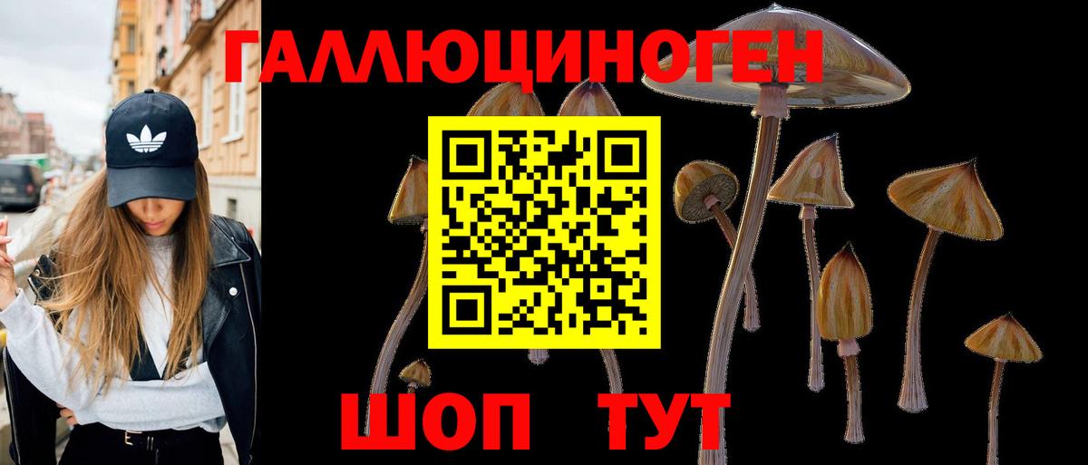 Псилоцибиновые грибы мухоморы Донской