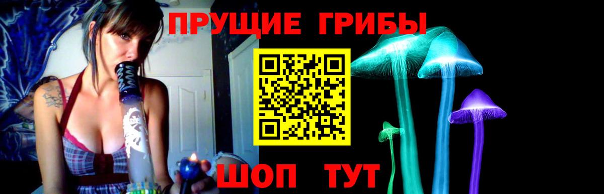 где купить наркоту  Вход с VPN  Донской  Псилоцибиновые грибы Psilocybine cubensis 